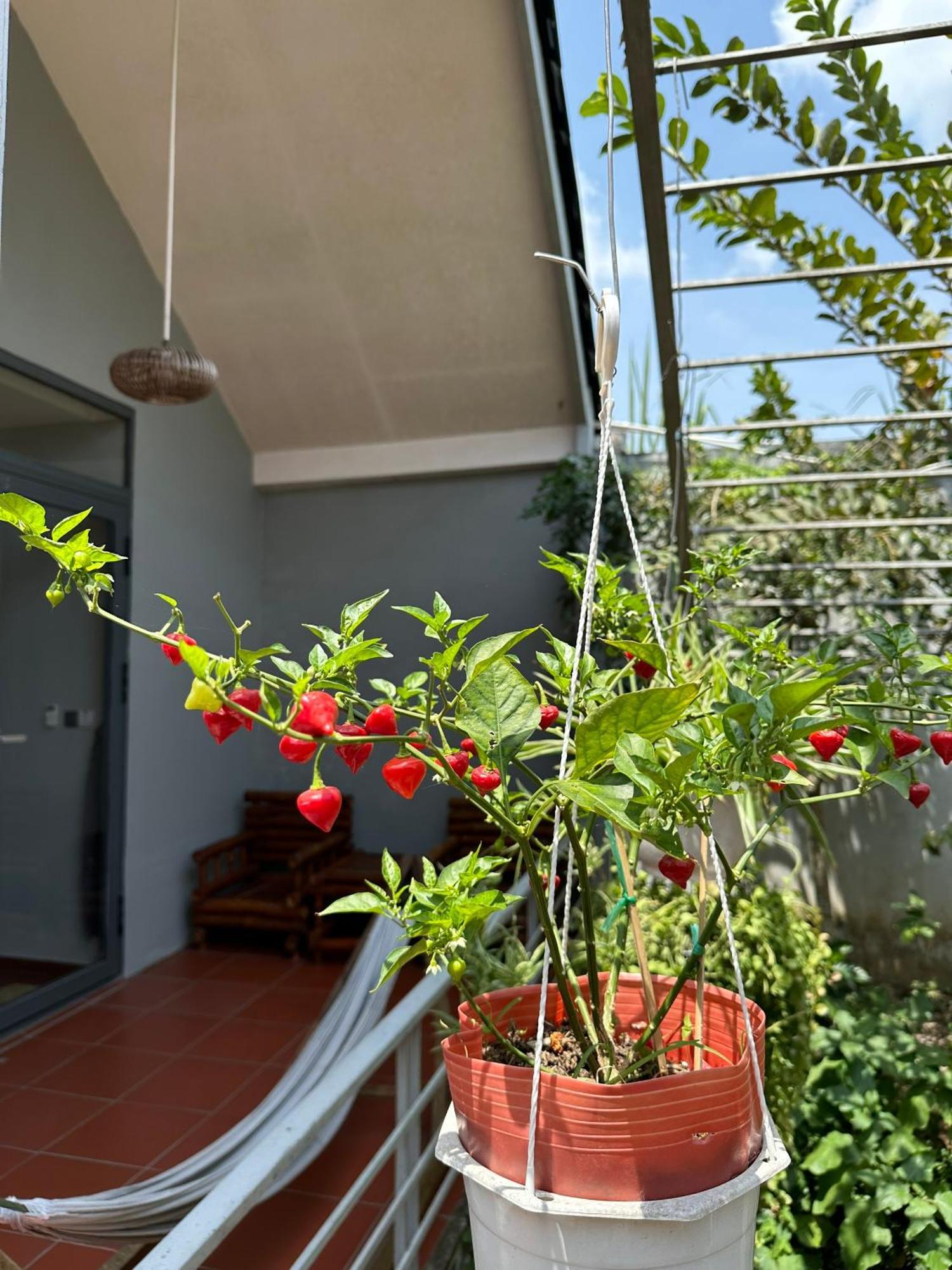 Cato Homestay Can Tho Exterior photo